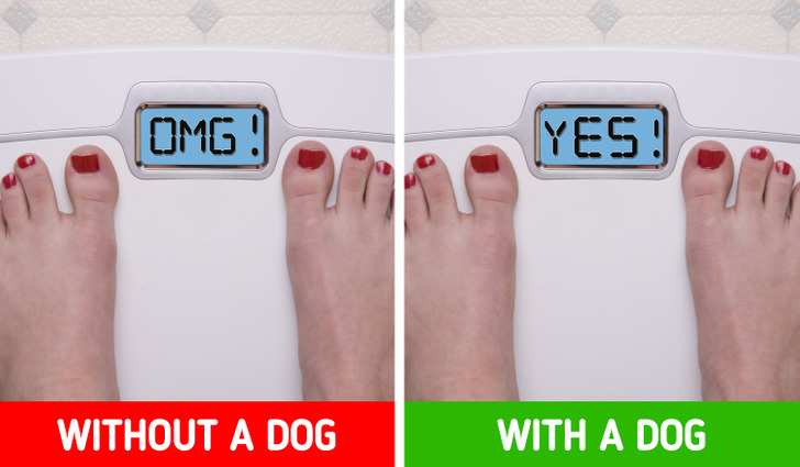 4e13425875ac563f77d5dea95d