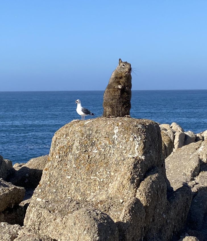 4e152b5d429c875d8dd232bfdb