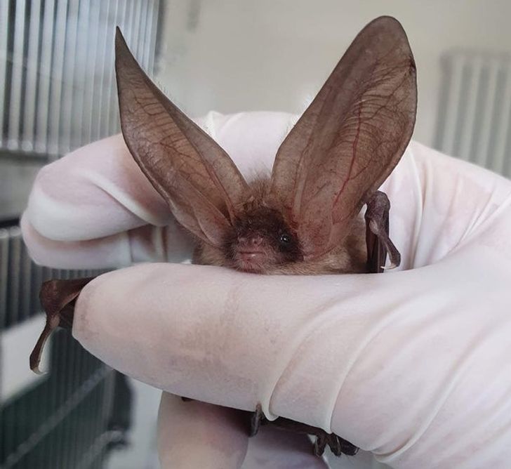 4e1743561b94c4d7d1adebd6dd