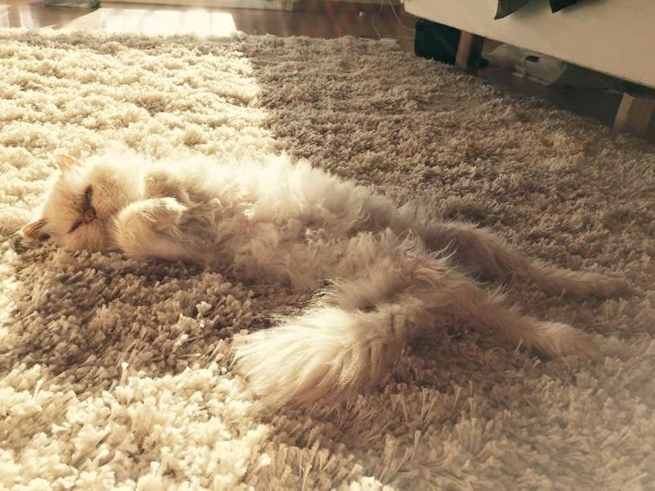 4e1de453e599af55d2af2dd0a0