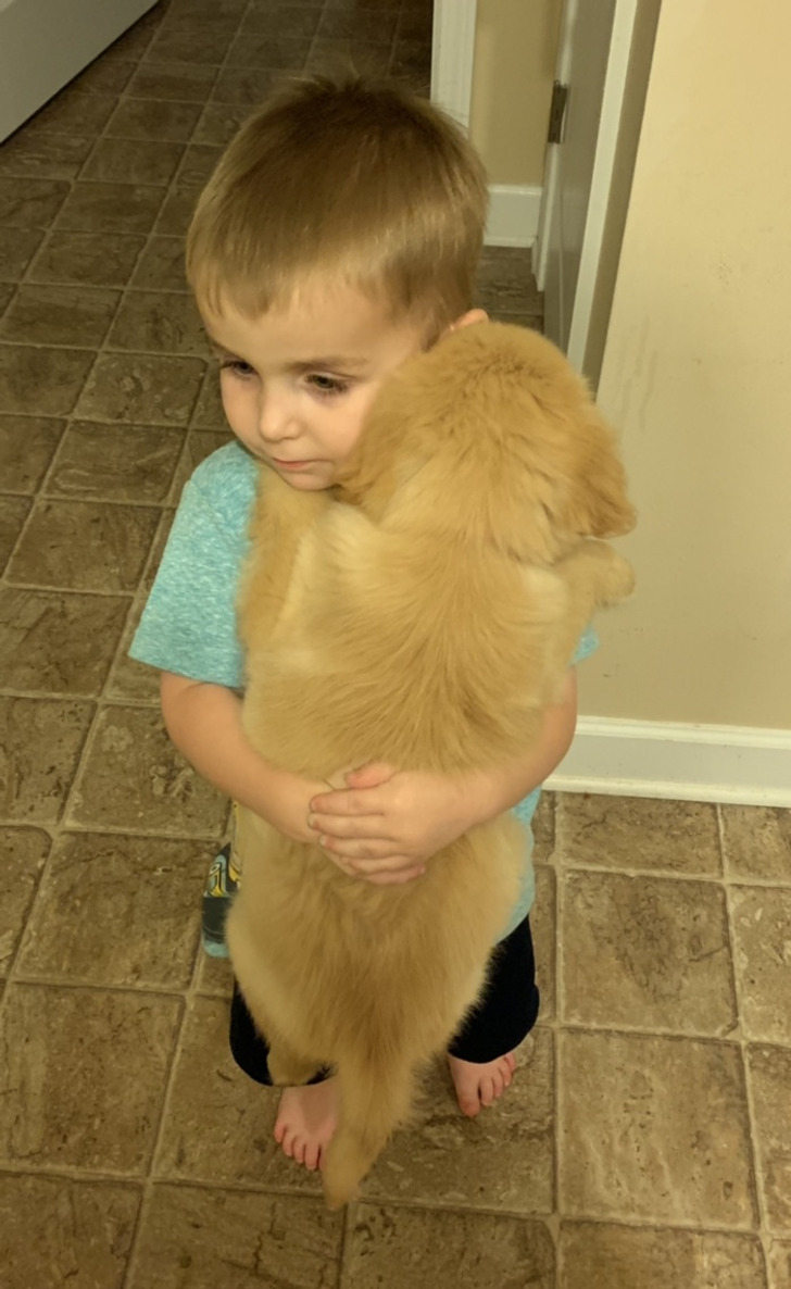 4e203855429b6bd274127bb911 4e203855429b6bd274127bb911