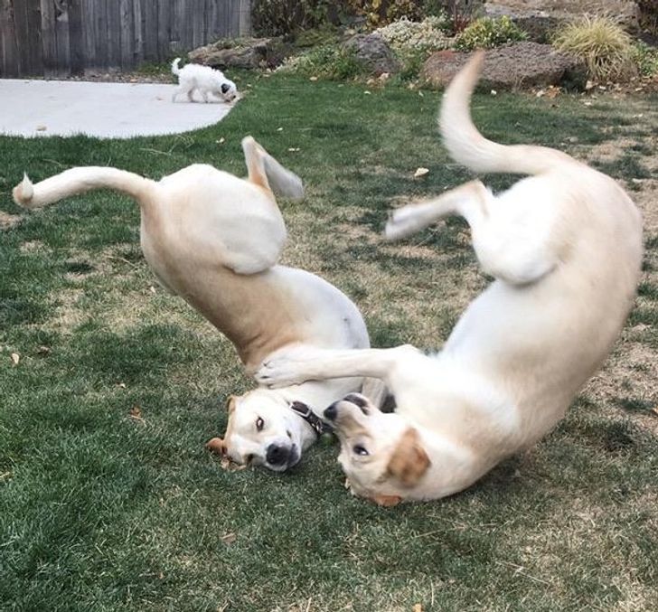 4e22f1587aaa540e552605f710