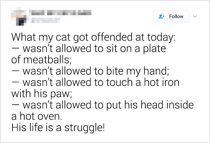 4e2a59532898ff265f9e44b529