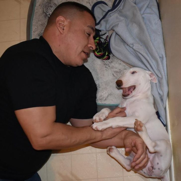 4e2e5f5f9aba12dc0c40d77078