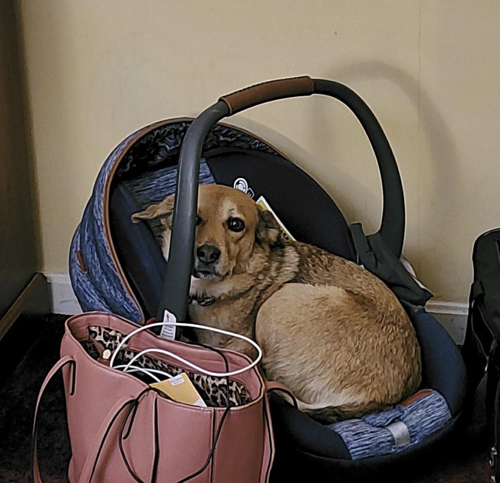 4e3ee2512f9e10182a1eede773