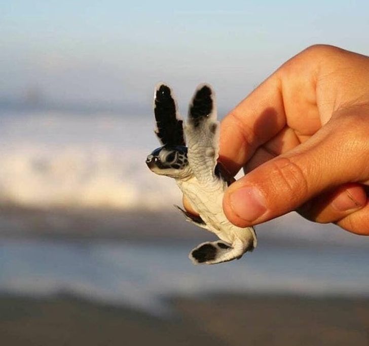 4e40395d84b1e92f42a82ed798