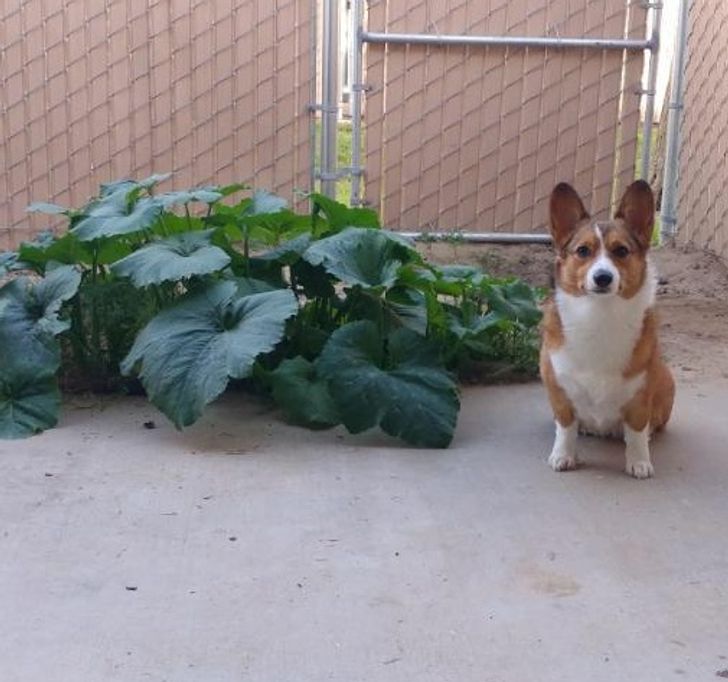 4e41f25311b9a2c19202b3f7d4