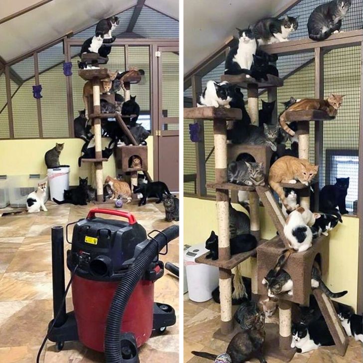 4e491e5a4d90e722efb18d835a