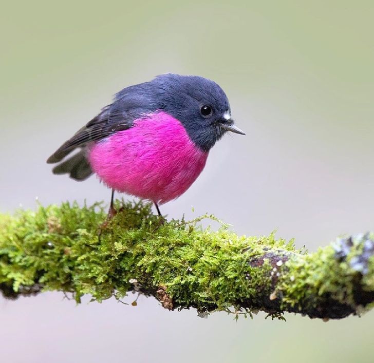 4e502a55d6b615641bd21b0153