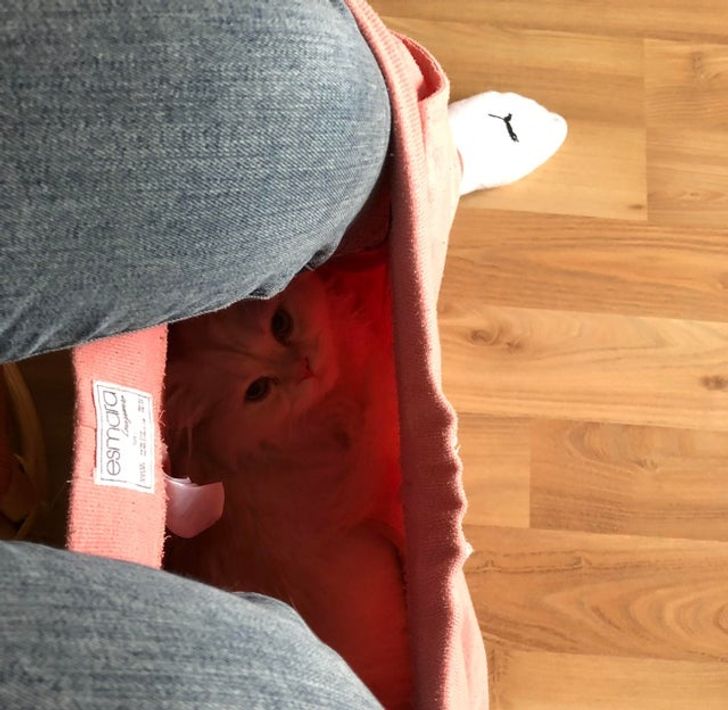 4e51335e43b206b81200a3e712