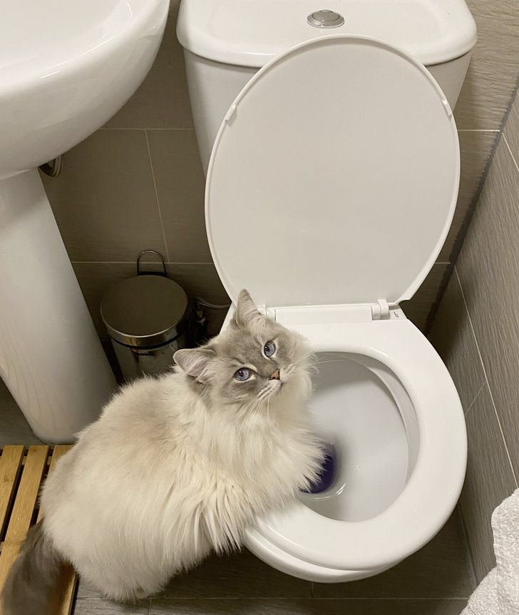 4e55c65b249c4f32bf7c6bb3ad