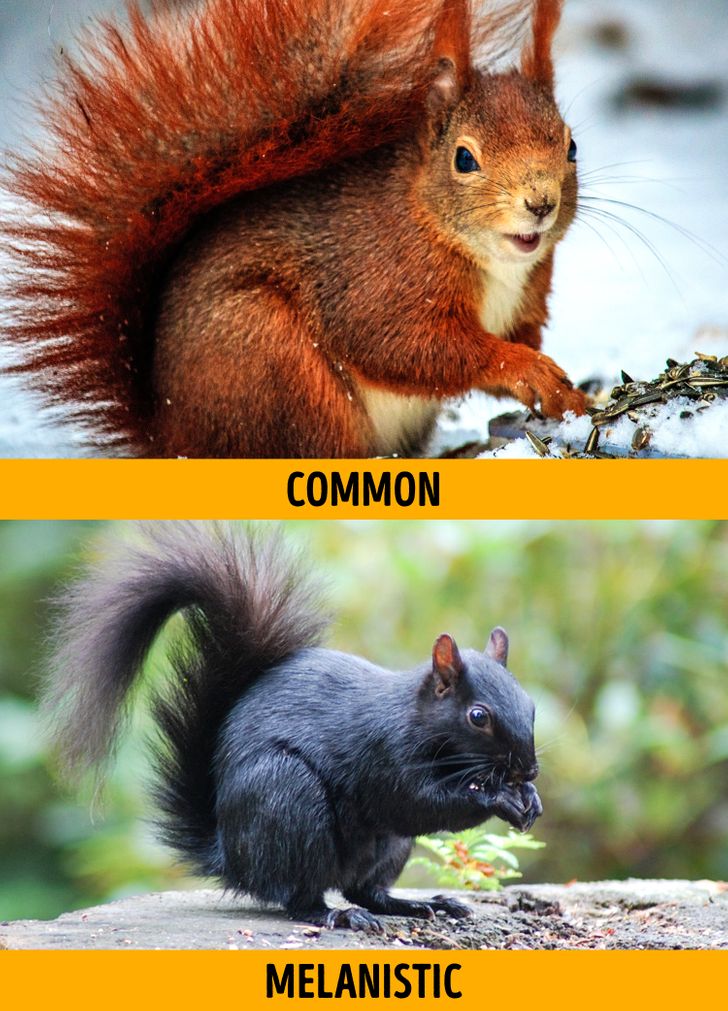 4e573a58109c9972d6c2583583