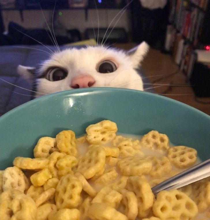 4e5870551c882328f1a0b8f27f