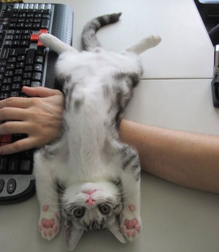 4e5e2750be97162f70f8f8aebc