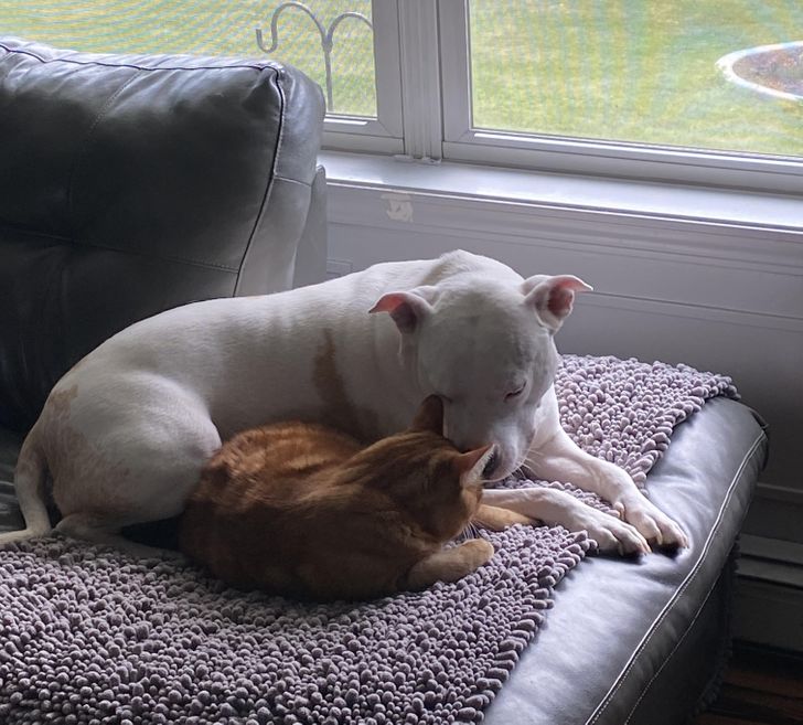 4e60195dfb818ad80eba493775