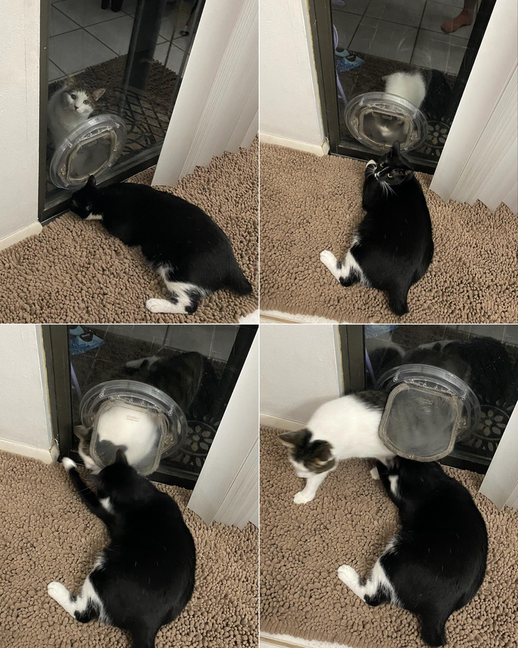 4e626456a786edb8d678cb7b61