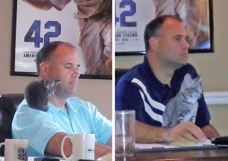 4e66e0583ba8362f43badd4e8c