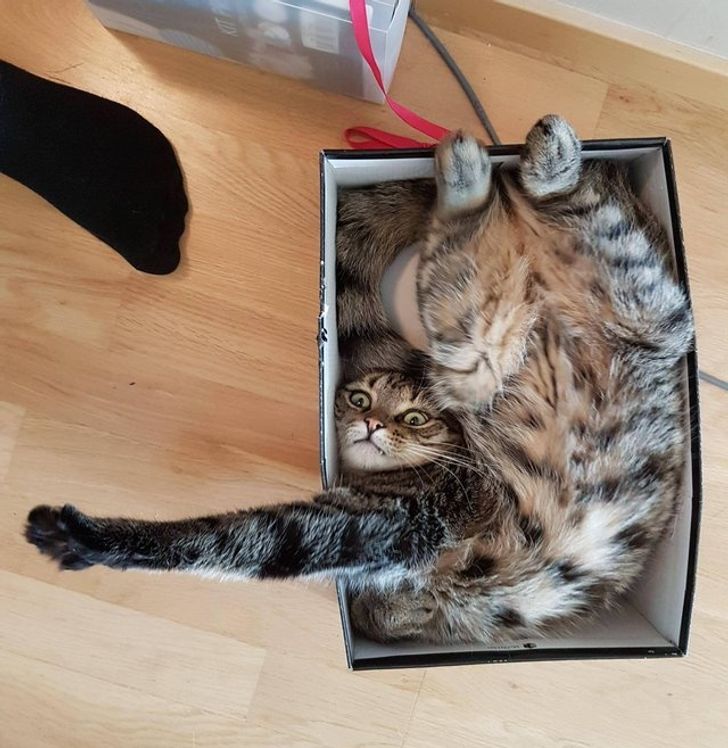 4e69025857baac38f04c2ea8c1