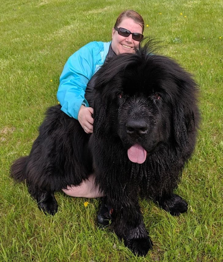 4e6baf5f44afc4cd73c15d7a2e