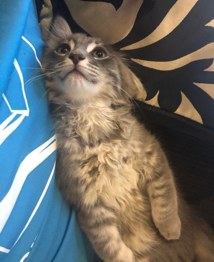 4e796b5062a9adf22c6835cd13