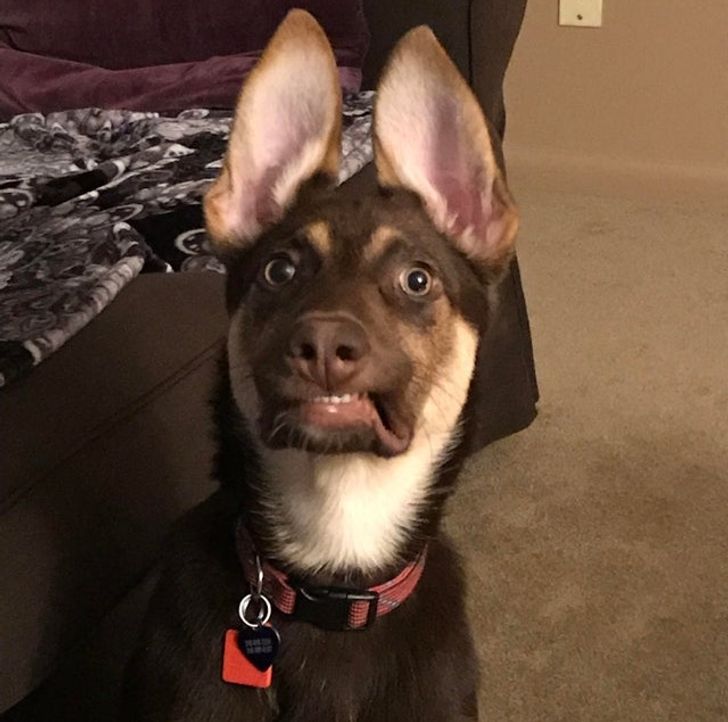 4e8318581e952e9f22b8c2807d