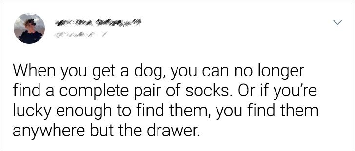 4e842f5a268bd9c6049e6dbb26