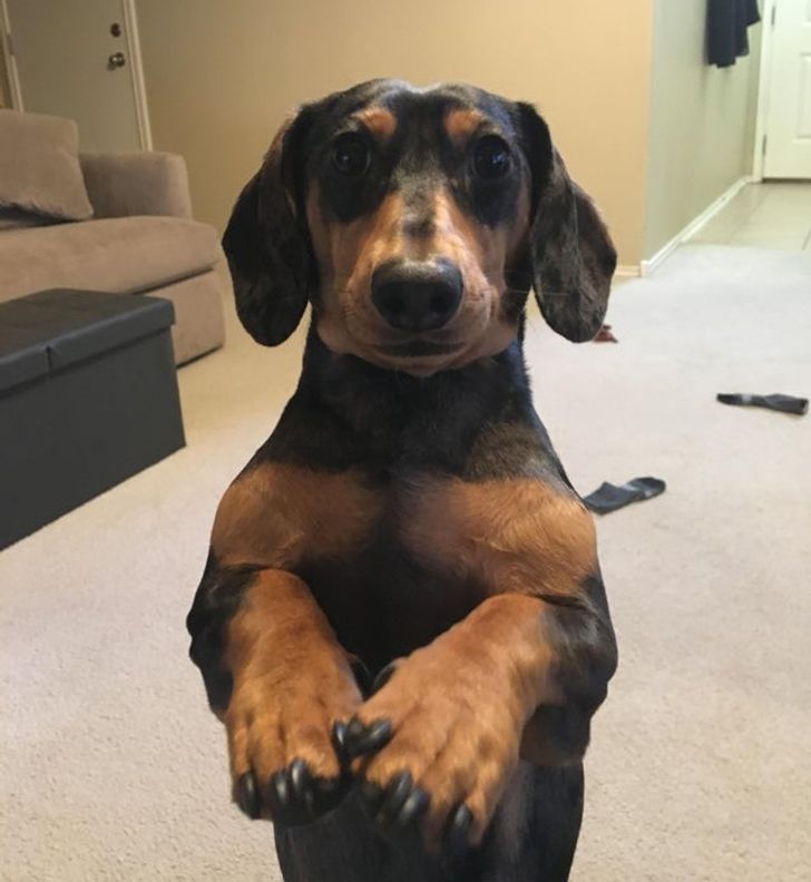 4e85aa57378fb1816ff9fe4329