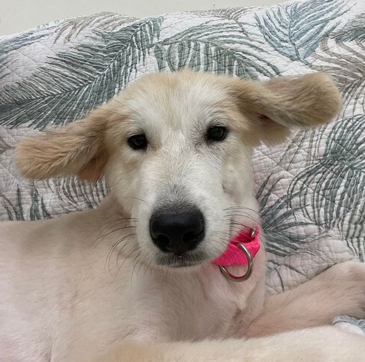 4e892f5f96bd03b63437f1fa24