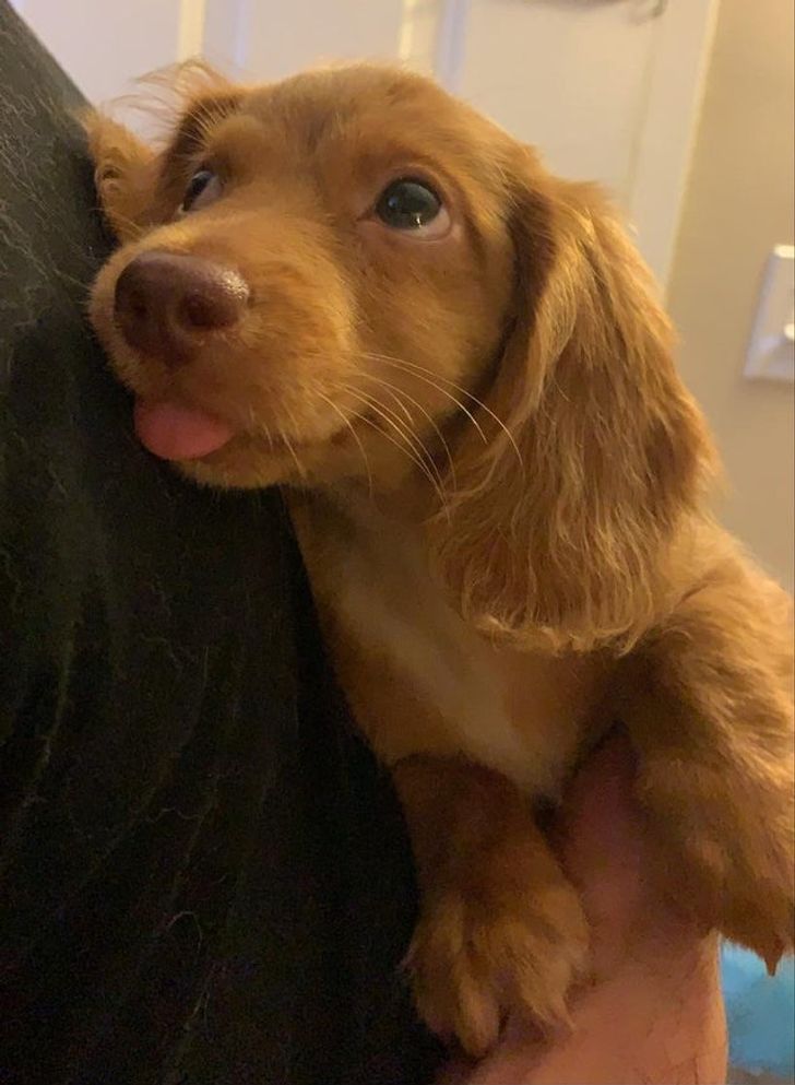 4e8eb35627b3972b2f862fe97e