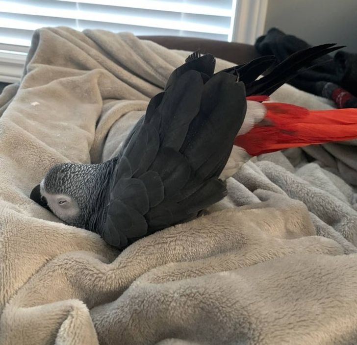 4e912c53808b62e48542e9f61e