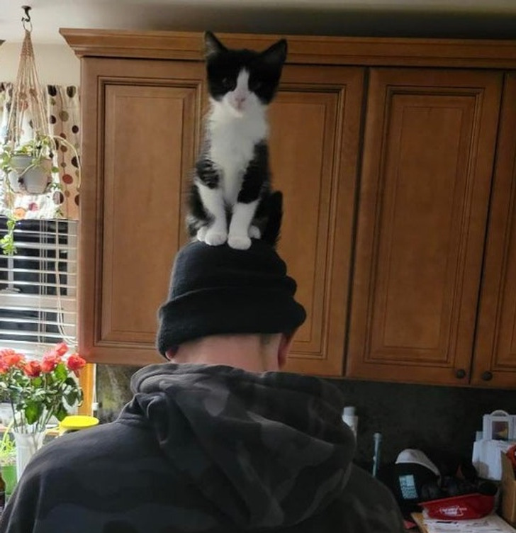 4e982c558fb4e7fc2c1f587fdf 4e982c558fb4e7fc2c1f587fdf