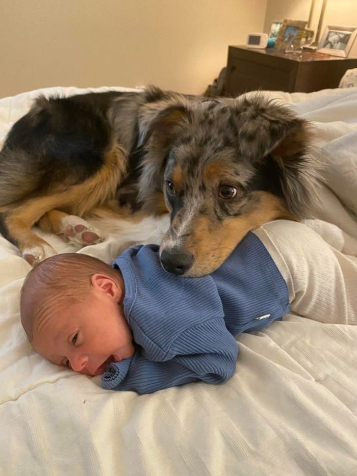 4e986059dd8606ae59f436b696