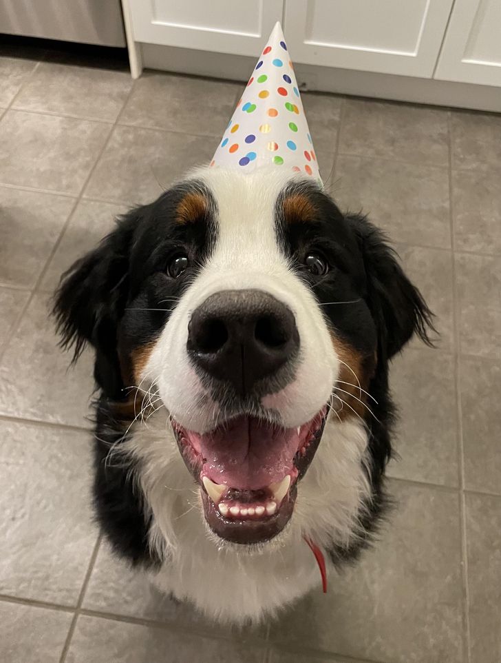 4ea46a5b8daeef2475c704048d