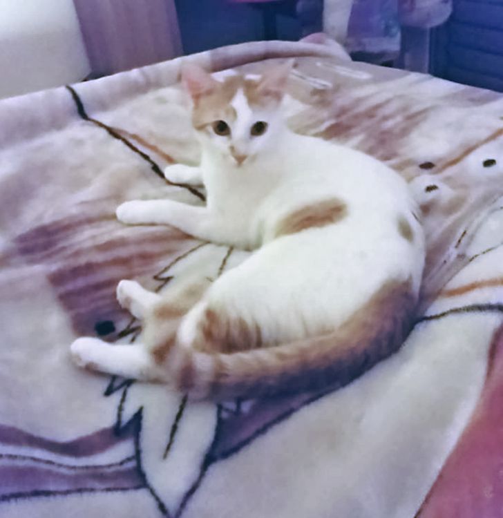 4ea7855fddbe1d374268375ba9