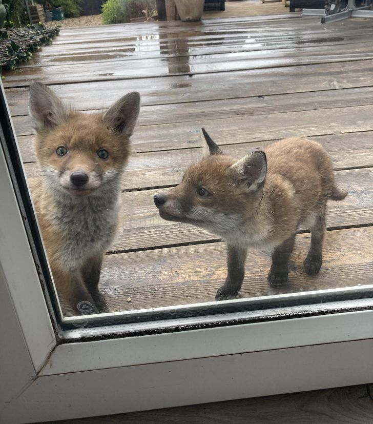 4eaada5fb9af6b715f1f036bd1