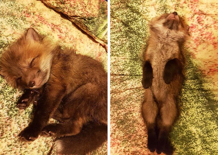 4eb0b25ddeb7de4df32101bc86