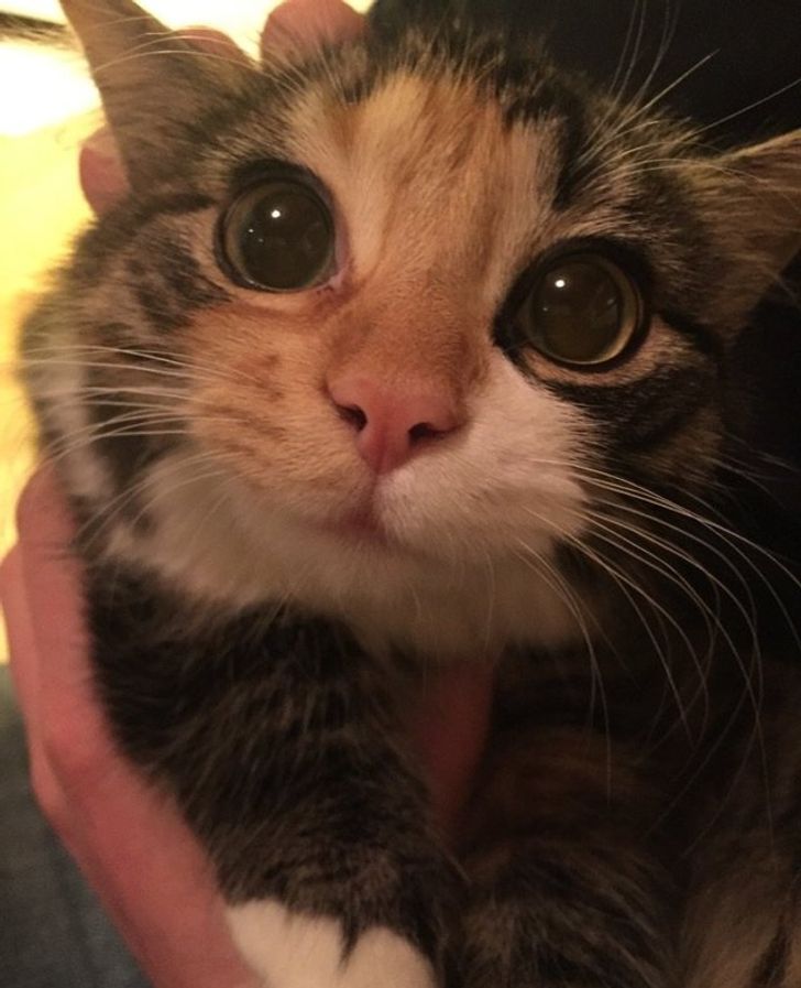 4eb5275dbeafbfc660fb4a03db