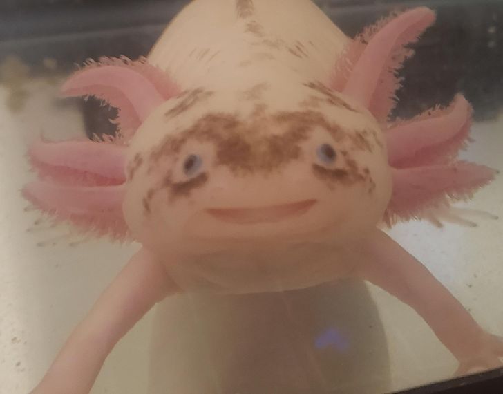 4eb5a650228ebb9c994304b32e