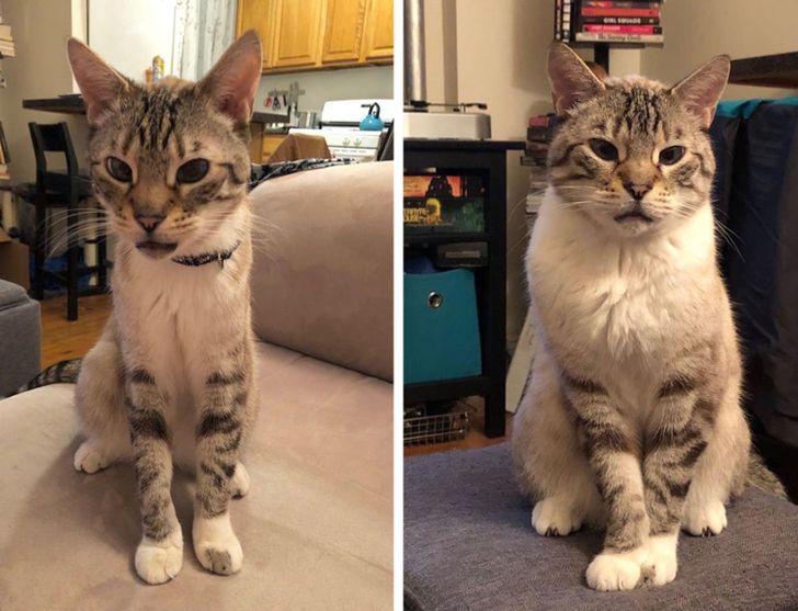 4eb7fd53a9b5ab838f839ac7fd