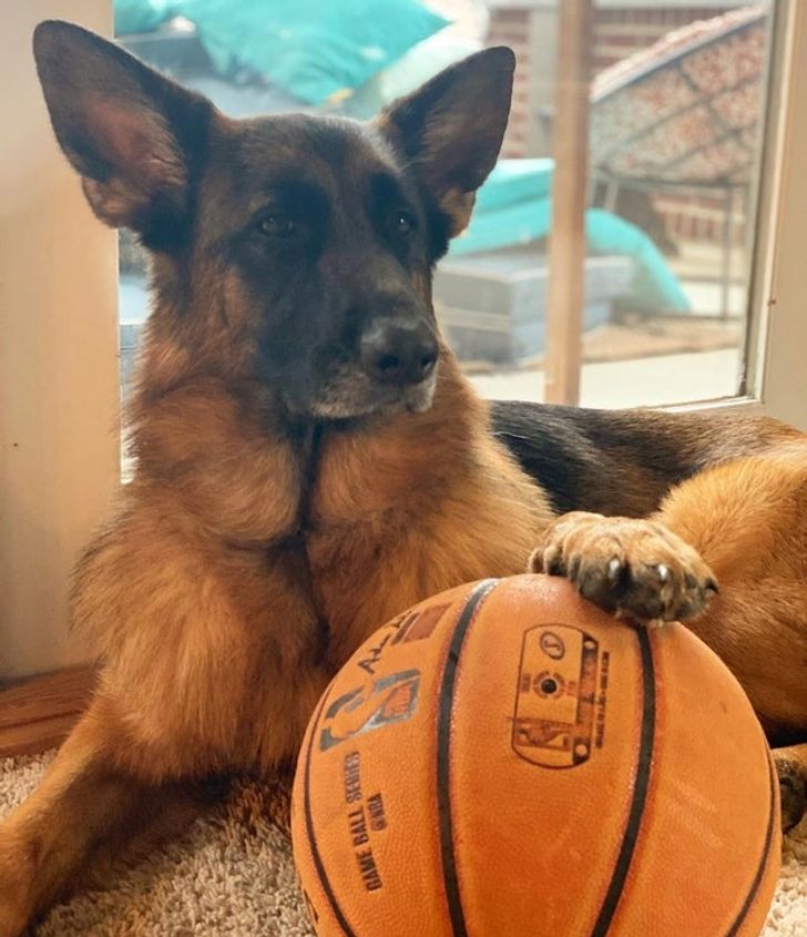 4ec2b25aed9209ccee3b053801