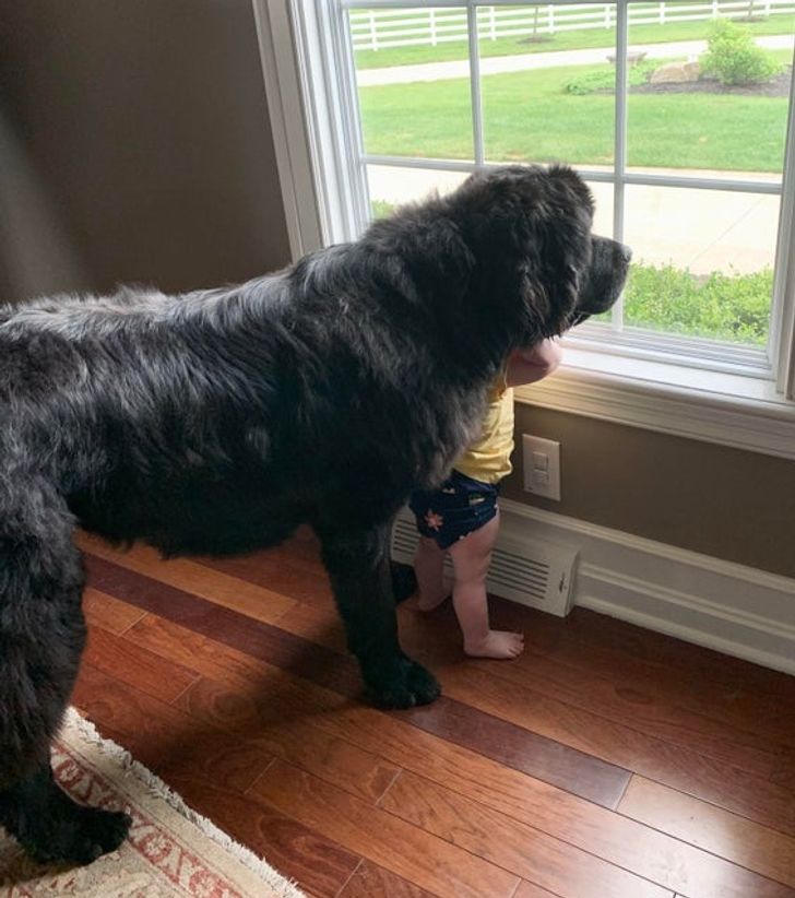 4ecb4b55d598bcd080844f8d66