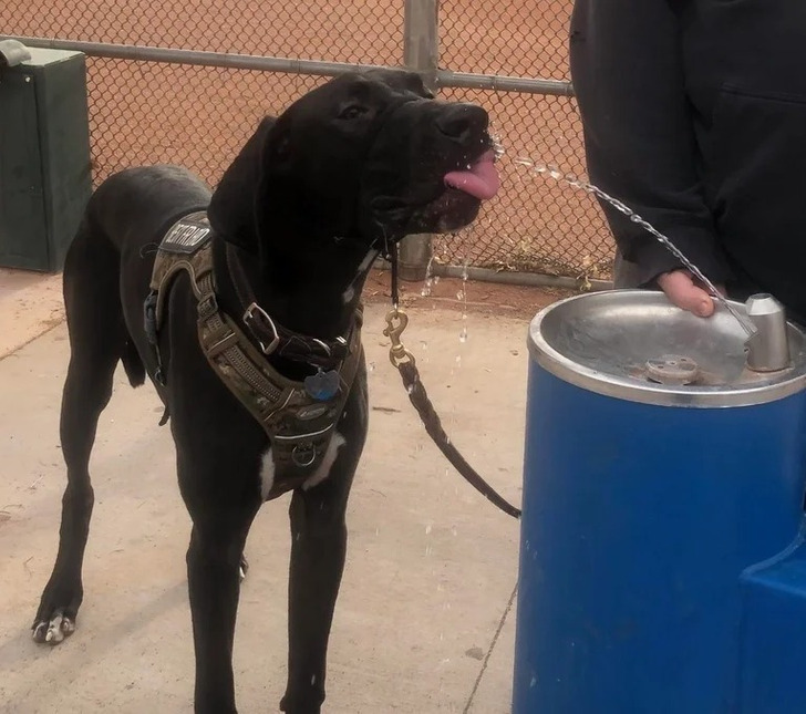 4ed05752a3b38044e7372444c0