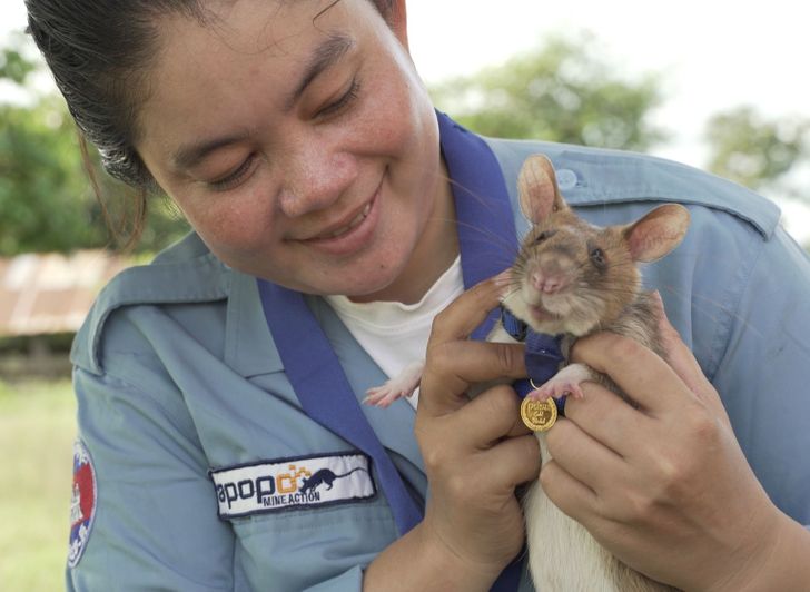 4ed7175ce1a582ada88525384b