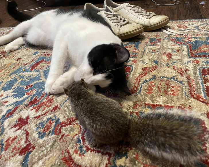 4eda3357568818314e8cee4a88