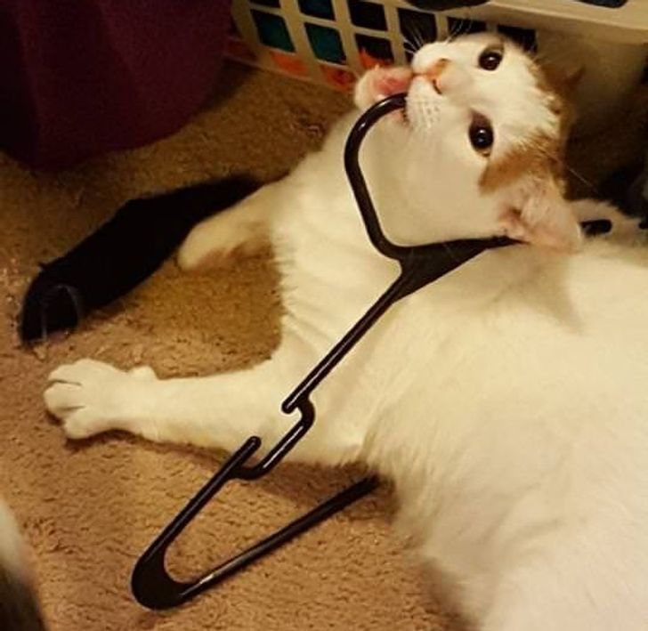 4ee63f5cc59d98171b1f451e9d