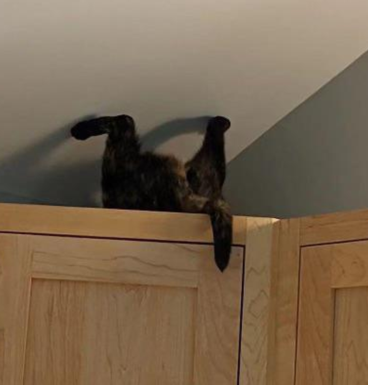 4ee6875c48b2bd7b266294fc0b 4ee6875c48b2bd7b266294fc0b