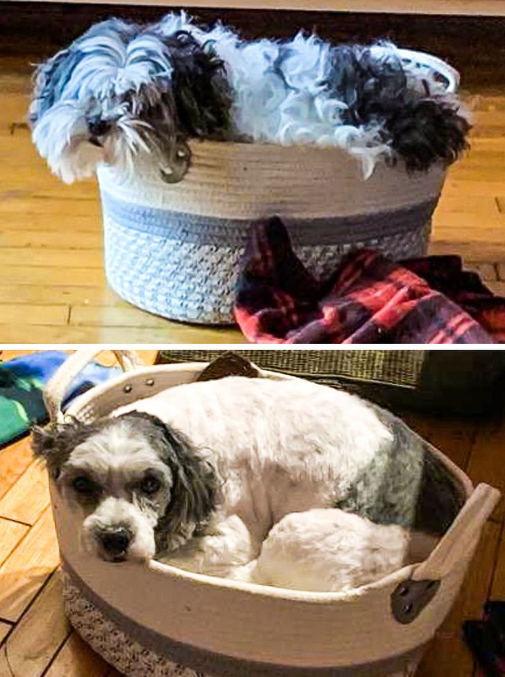 4ee7fc5811844cf56e7b7e7fb7