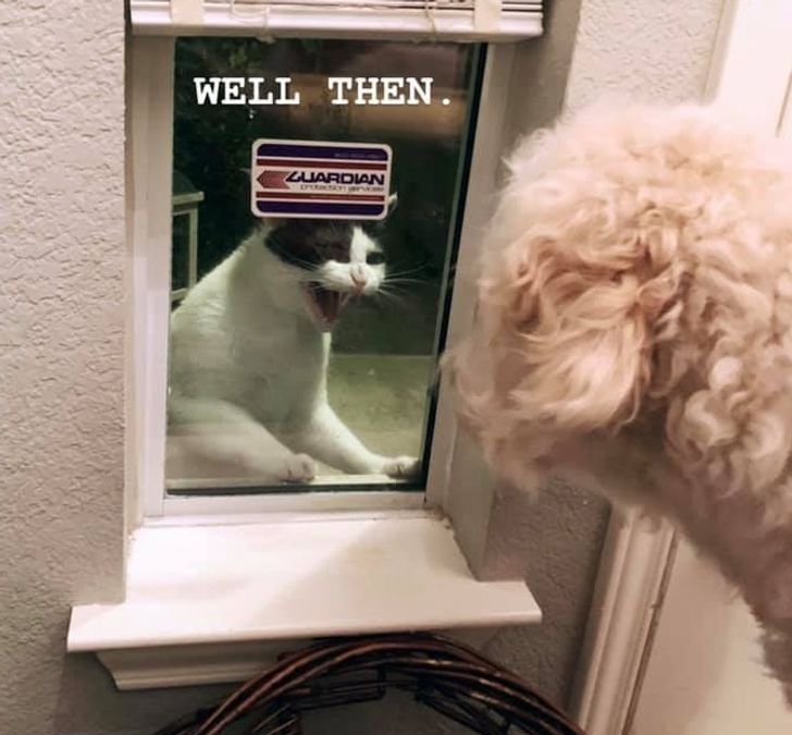 4eee075d91967ba6235f43627b