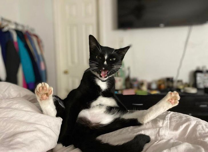 4eeeeb5b34930b482ada15e318