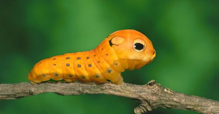 4ef1335fb9b8f2a74ecbfd4edb